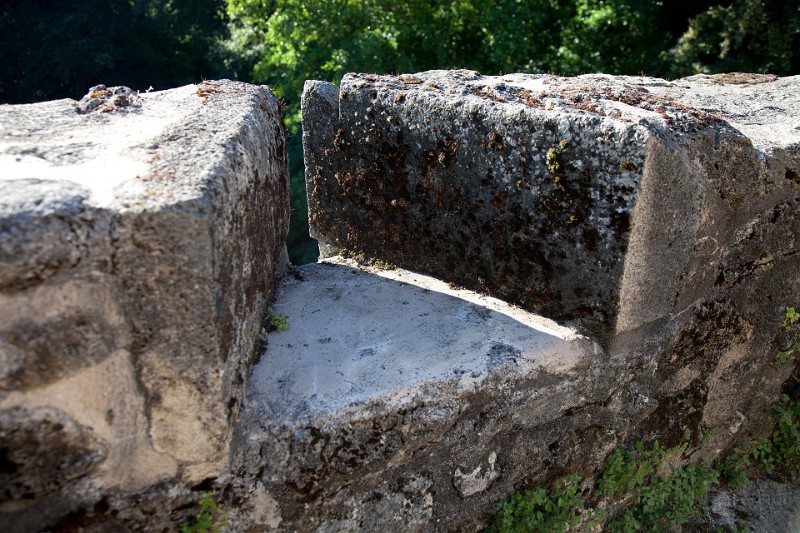 2013-08-18-Castrum-des-Pommiers-108.jpg