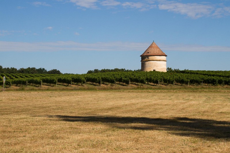 2013-08-18-Castrum-des-Pommiers-174.jpg