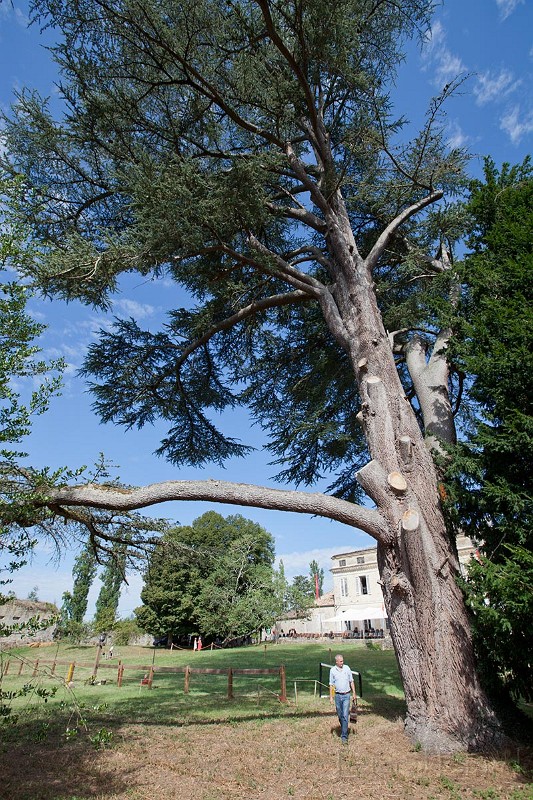 2013-08-18-Castrum-des-Pommiers-200.jpg