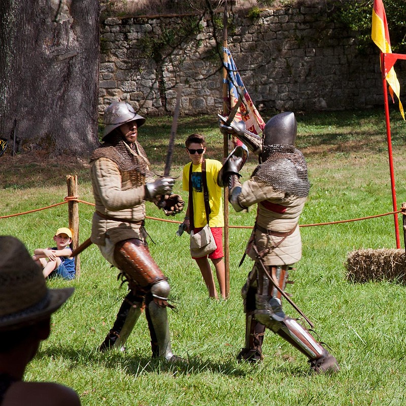 2014-08-16-Festival-Médiéval-au-Castrum-de-Pommyers-062.jpg