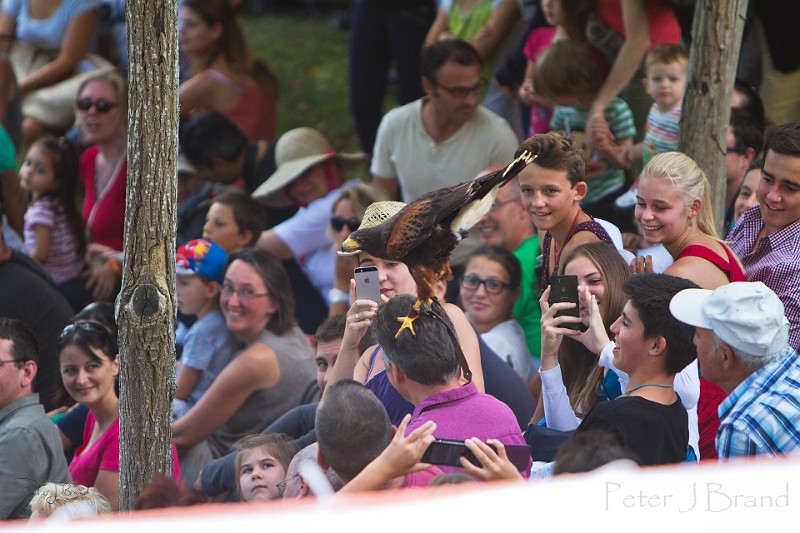 2014-08-16-Festival-Médiéval-au-Castrum-de-Pommyers-106.jpg