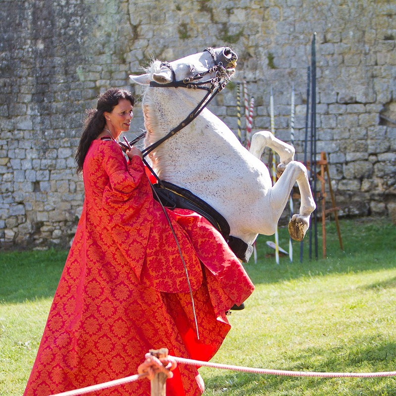 2014-08-16-Festival-Médiéval-au-Castrum-de-Pommyers-124.jpg