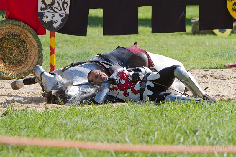 2014-08-16-Festival-Médiéval-au-Castrum-de-Pommyers-125.jpg