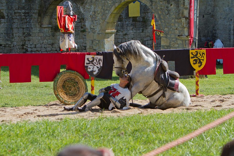 2014-08-16-Festival-Médiéval-au-Castrum-de-Pommyers-130.jpg