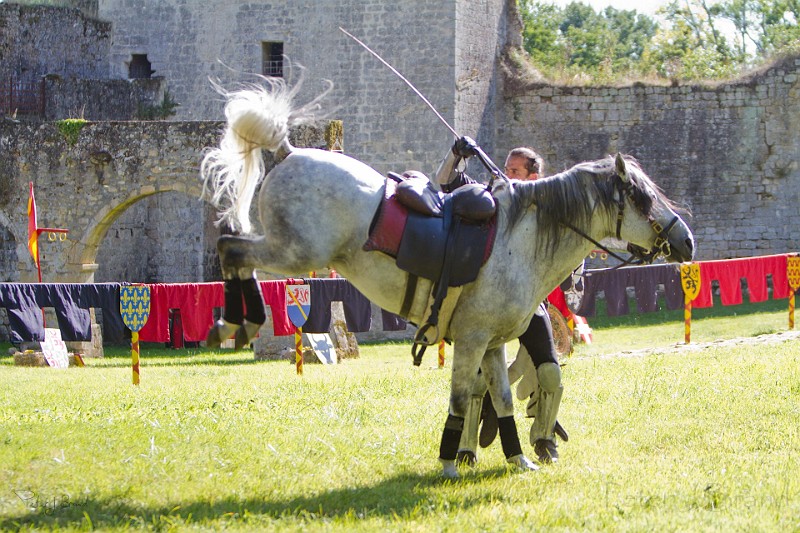 2014-08-16-Festival-Médiéval-au-Castrum-de-Pommyers-136.jpg