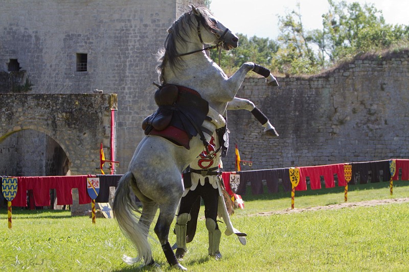 2014-08-16-Festival-Médiéval-au-Castrum-de-Pommyers-137.jpg