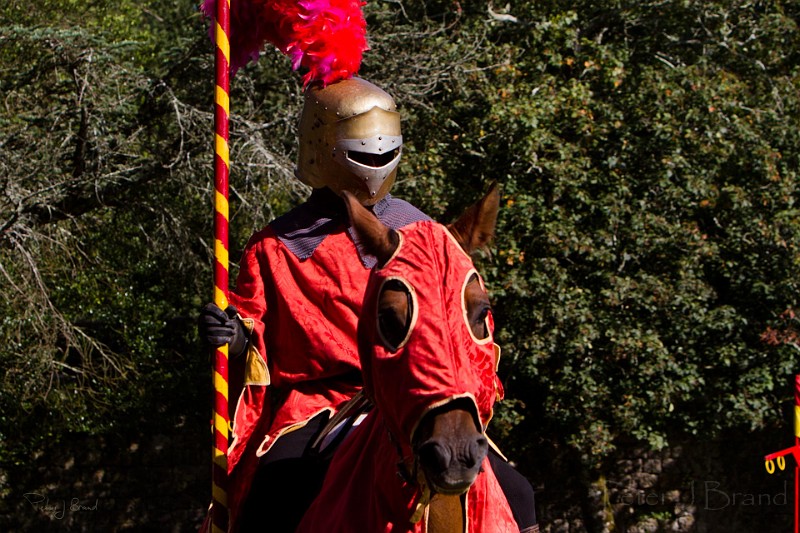 2014-08-16-Festival-Médiéval-au-Castrum-de-Pommyers-160.jpg