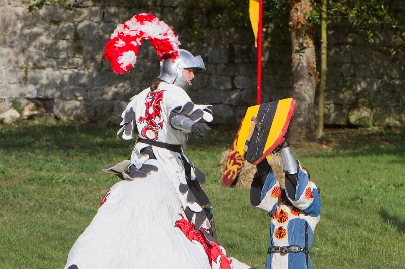 2014-08-16-Festival-Médiéval-au-Castrum-de-Pommyers-167.jpg