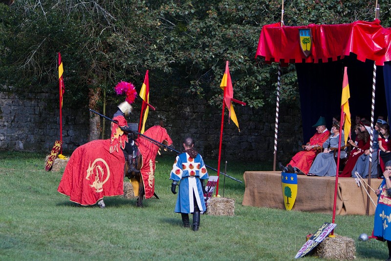 2014-08-16-Festival-Médiéval-au-Castrum-de-Pommyers-173.jpg