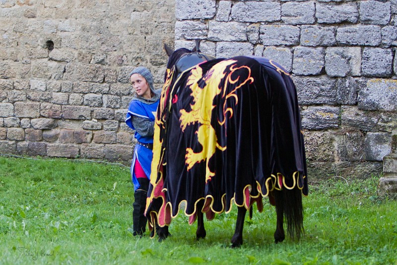 2014-08-16-Festival-Médiéval-au-Castrum-de-Pommyers-179.jpg