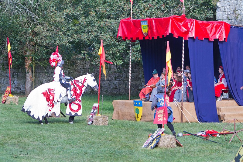 2014-08-16-Festival-Médiéval-au-Castrum-de-Pommyers-185.jpg