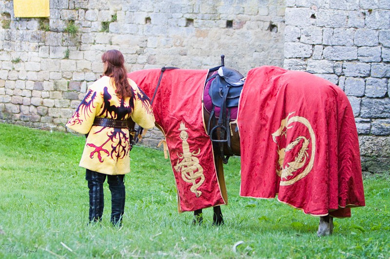 2014-08-16-Festival-Médiéval-au-Castrum-de-Pommyers-186.jpg