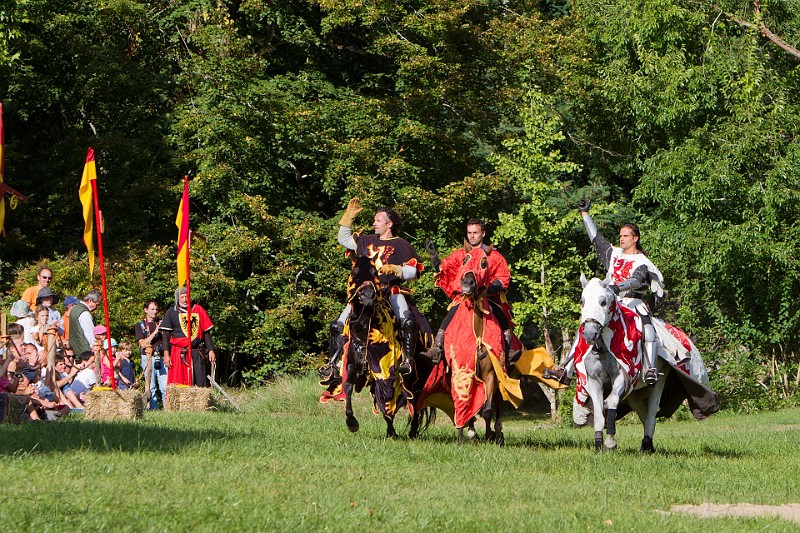 2014-08-16-Festival-Médiéval-au-Castrum-de-Pommyers-203.jpg